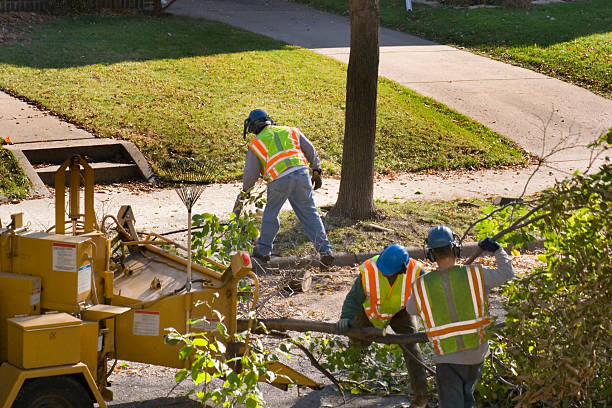 Best Lawn Watering Services  in Coconut Creek, FL